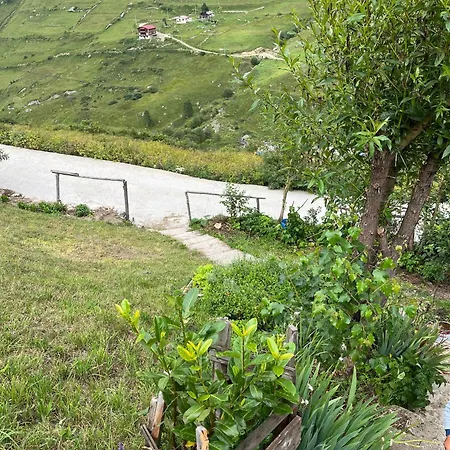 Doruk Caykara