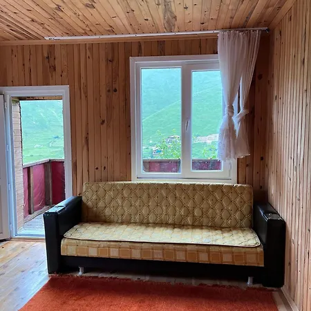 Doruk Caykara