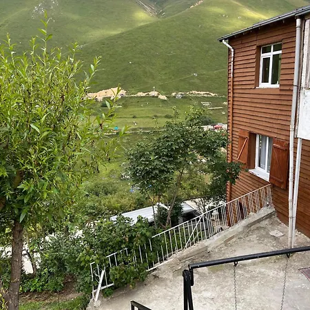 Homestay Doruk